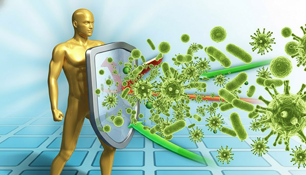 дигидрокверцетин иммунитет